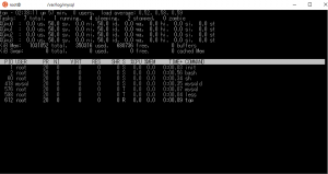 bash_2