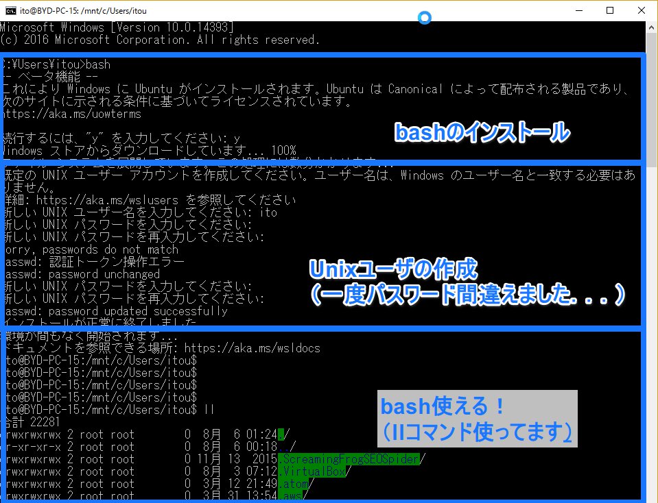 bash