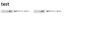 duplicate_file_upload