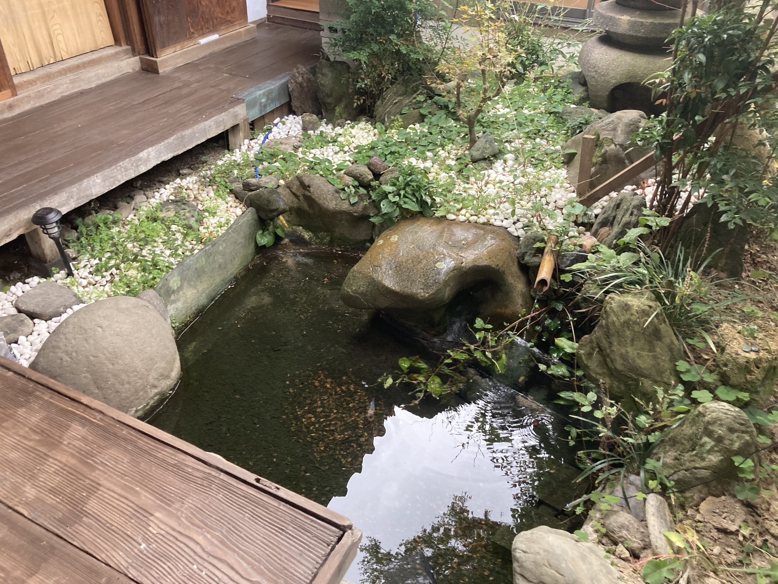 中庭
